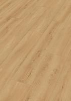DD 250 - Earth Oak 7450