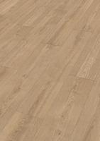 DD 250 - Sandy Beach Oak 7451
