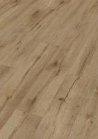 DD 250 - Wild Oak 7452