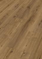 DD 250 - Tacoma Oak amber 7455