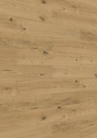 MeisterPaneele.craft SP 400, Eiche authentic 20129