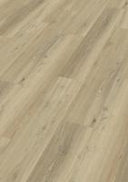 RD 200 S - Minimal Wave 20190