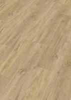 RD 200 S - Vogue 20195