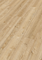 6831_MeisterDesign_DL_Perspektive.png